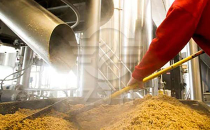 Use Brewery Spent Grains for Processing DDGS