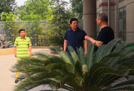 Roll Up Our Sleeves and Work With Added Energy -- Municipal CPPCC Inspected ZJN,China