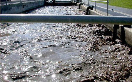 Municipal Sludge Drying