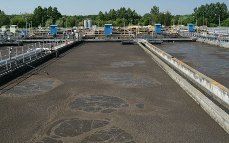 Sewage Sludge Drying