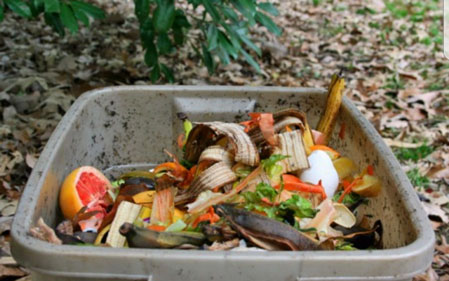 Food Waste