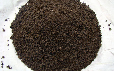 Animal Manure